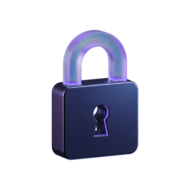 Data Security Icon